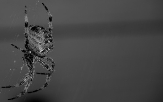 460467 (a): :1920x1200
